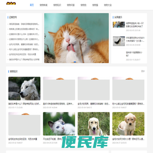 宠物猫