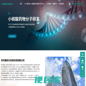 小核酸