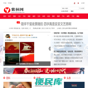 紫林网