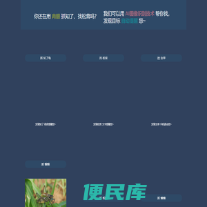 幸运之眼