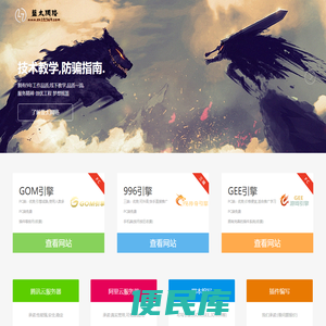 蓝太网络
