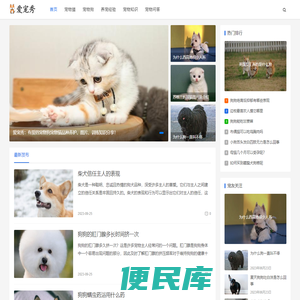 有爱的宠物狗宠物猫品种养护、图片、训练知识分享