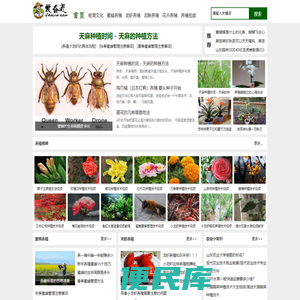 爱奋进农村创业网
