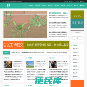 葱条