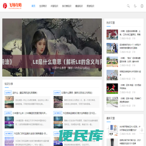 飞翔攻略