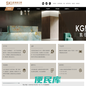 SKI欧洲进口砖