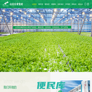 东莞蔬菜公司
