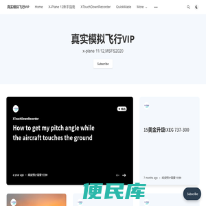 真实模拟飞行VIP