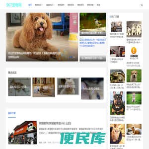 56宠物网