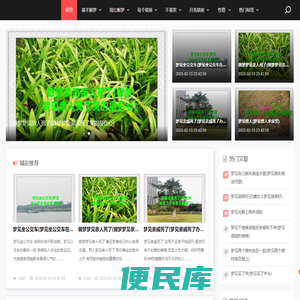 基丰解梦网