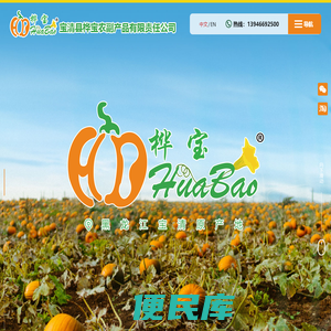 宝清县桦宝农副产品有限责任公司,宝清白瓜子,黑龙江白瓜子,白瓜子,桦宝农产品