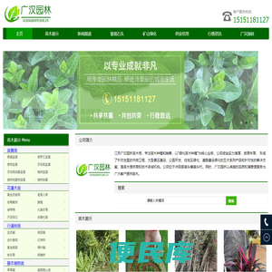 绿化苗木
