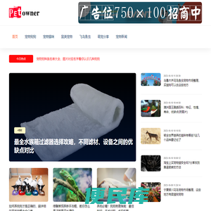 宠物主人网