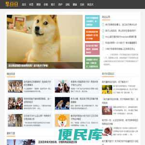 柴犬