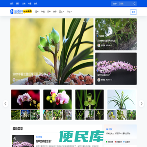 兰百科