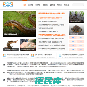 淡水养殖