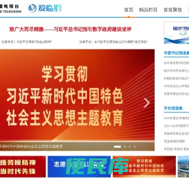 爱临沂网