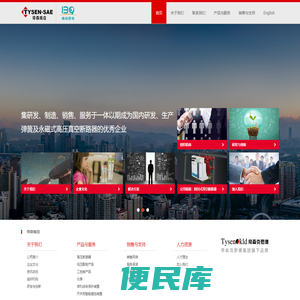 南京帝森南自电气有限公司
