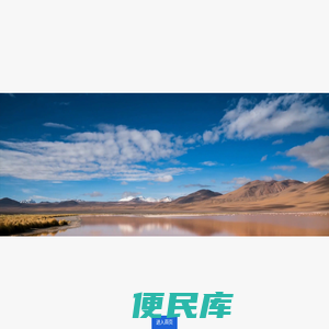综艺集团