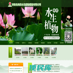 安新县尚欣水生植物销售有限公司