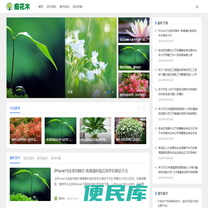免费分享花木苗木知识和苗木种植技术及花木市场行情