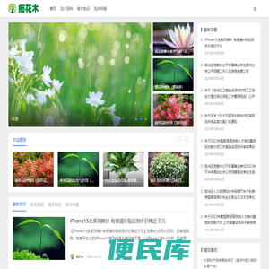免费在线日韩电影大片
