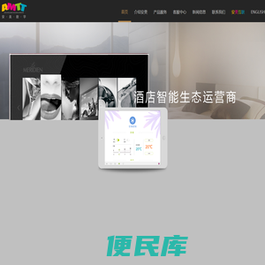 安美数字