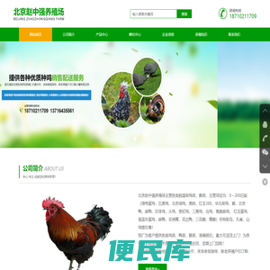 北京赵中强养殖场