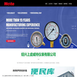 绍兴上虞威特仪表有限公司