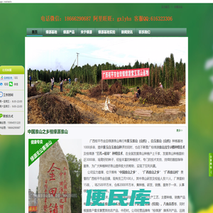 【中国淮山之乡】位于广西山药基地的广西桂平市金田镇“中国淮山之乡”,产地种植白玉淮山，紫玉淮山，
