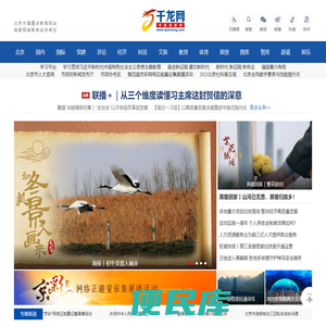 千龙网