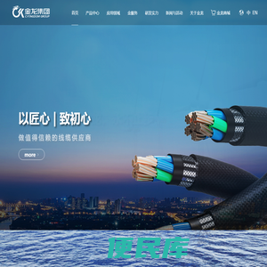金龙集团