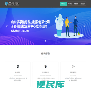 山东领孚信息科技股份有限公司