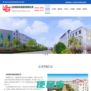 山东临风科技股份有限公司