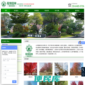 绿化苗木