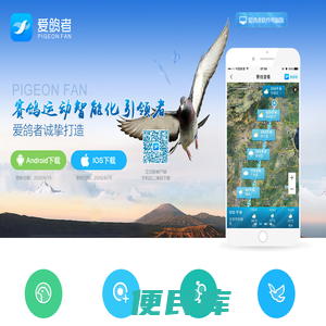 爱鸽者