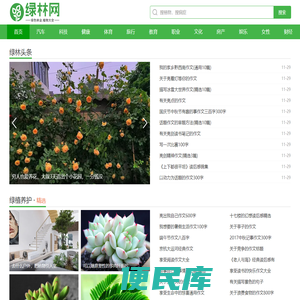 绿林网