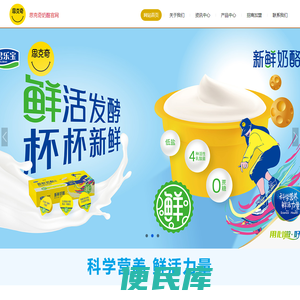 思克奇奶酪官网,儿童奶酪棒,奶酪布丁,马苏里拉