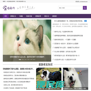 喵萌网