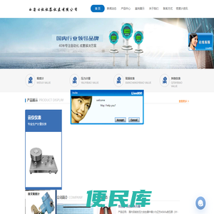密度计
