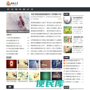 瀚海文学