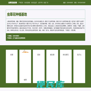 虫草花