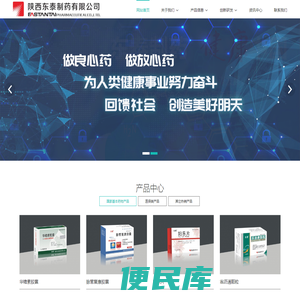 陕西东泰制药有限公司