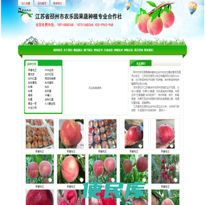 桃苗