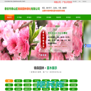 山东泰安1,1.2,1.5,1.8,2,3,4,5米石楠球