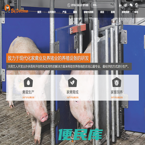 大荷兰人(必达）