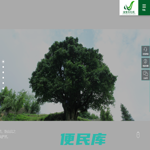 临沧临普茶之缘商贸有限责任公司