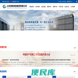 山东鲁泰控股集团有限公司