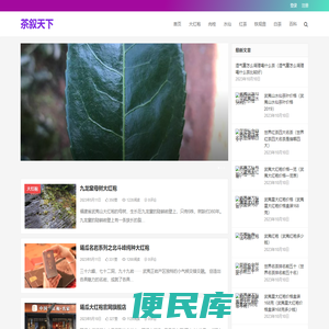 武夷山岩茶大红袍