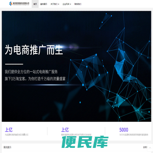 福州飘雪网络科技有限公司